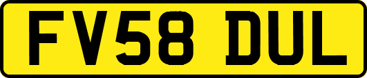 FV58DUL
