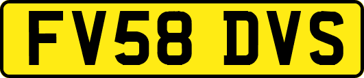 FV58DVS