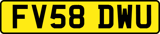FV58DWU