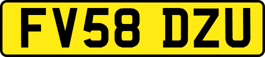 FV58DZU