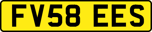 FV58EES