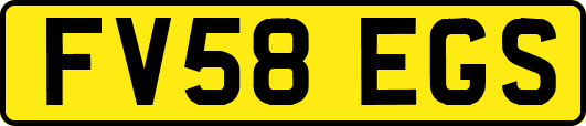 FV58EGS