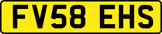 FV58EHS