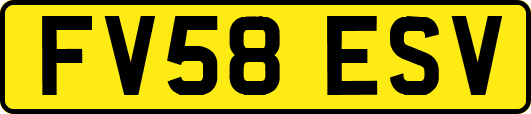 FV58ESV