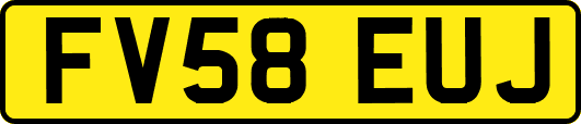 FV58EUJ
