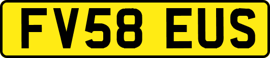 FV58EUS