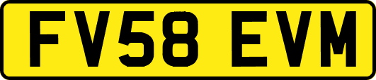 FV58EVM