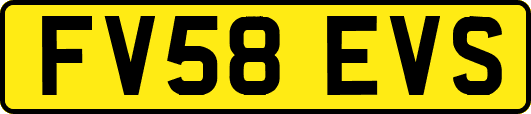 FV58EVS