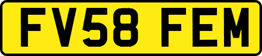 FV58FEM