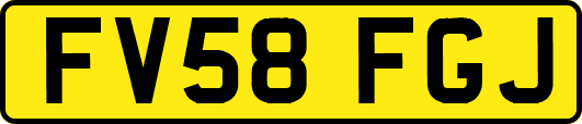 FV58FGJ