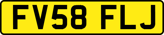 FV58FLJ