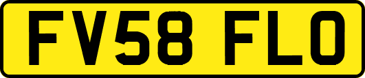 FV58FLO