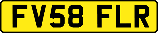 FV58FLR