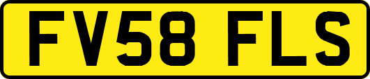 FV58FLS