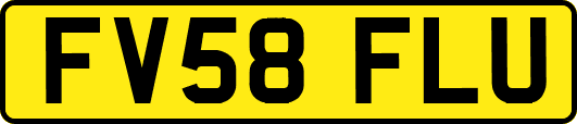FV58FLU