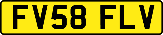FV58FLV