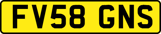 FV58GNS
