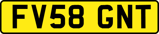 FV58GNT