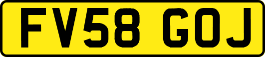 FV58GOJ