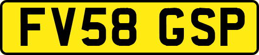 FV58GSP
