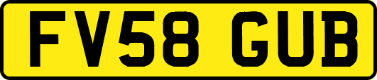 FV58GUB