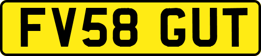 FV58GUT