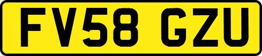 FV58GZU
