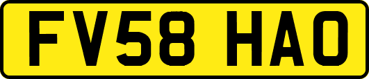 FV58HAO