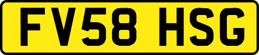 FV58HSG