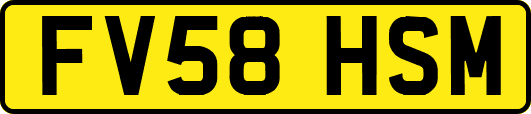 FV58HSM