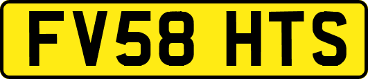 FV58HTS