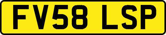 FV58LSP
