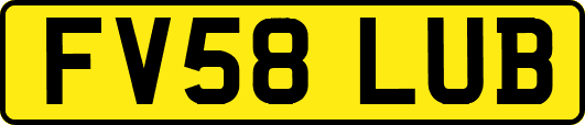 FV58LUB