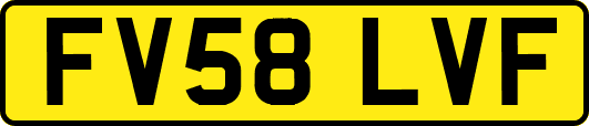FV58LVF