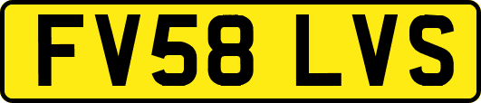 FV58LVS