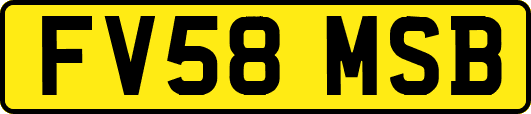 FV58MSB