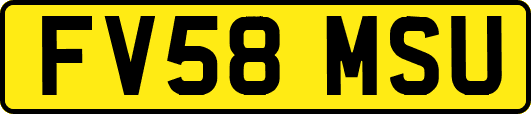 FV58MSU