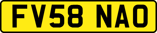 FV58NAO