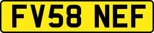 FV58NEF