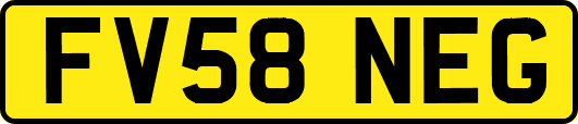 FV58NEG