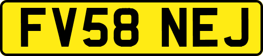 FV58NEJ
