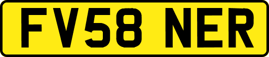 FV58NER