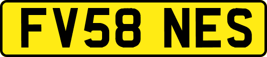 FV58NES