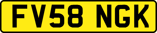 FV58NGK