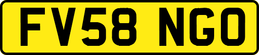 FV58NGO