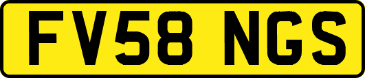 FV58NGS