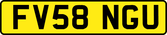 FV58NGU