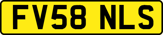 FV58NLS