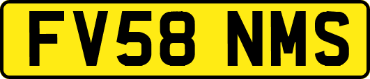 FV58NMS