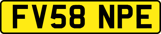 FV58NPE